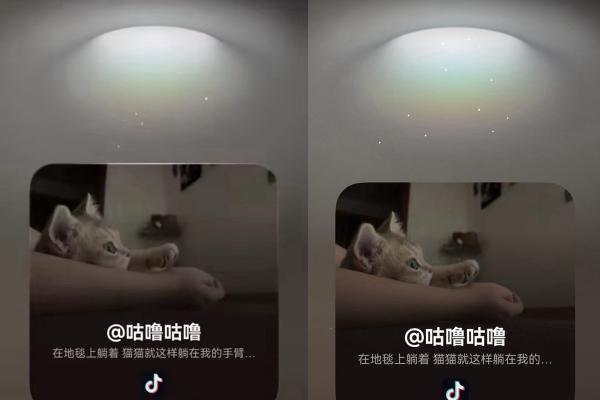 变系统能力为产品创新体验，这半年抖音系应用在鸿蒙上做对了什么？