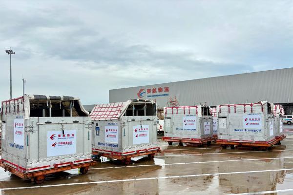 完善洲际多点布局 东航物流首单巴黎直运马匹顺利抵沪