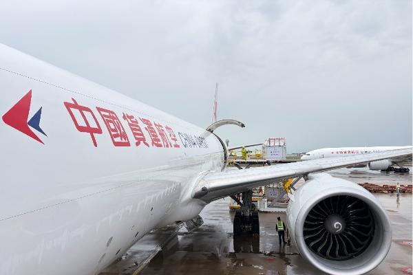 完善洲际多点布局 东航物流首单巴黎直运马匹顺利抵沪