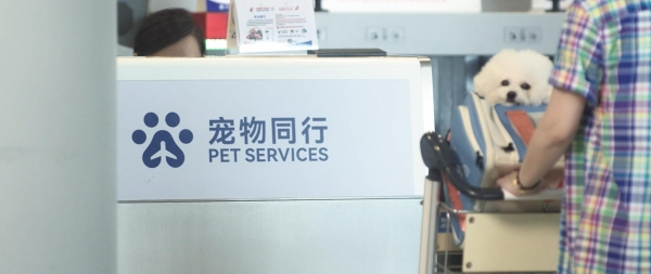 品读多重“城”意 文商旅体间的别样飞行 