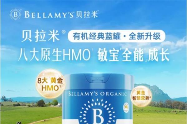 年度盘点：奶粉哪个好？从配方到口碑的深度解析