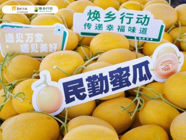 从治沙到兴乡，华润万家深入甘肃民勤探寻蜜瓜产业背后的乡土坚守 