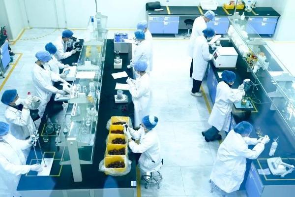小西梅做出大文章——疆果果旗下"希梅元"即将亮相第十六届喀交会 