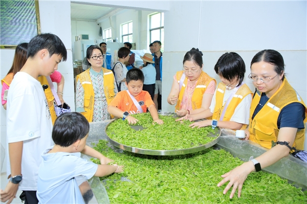 江南寻药承古韵，少年问道续岐黄 北京同仁堂中医药文化暑期研学营圆满结营