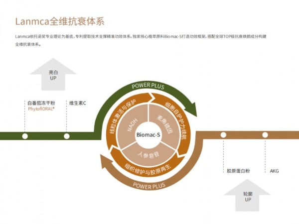 从安大略植萃到 Biomac-S：LANMCA 用自研成分筑口服抗衰技术壁垒