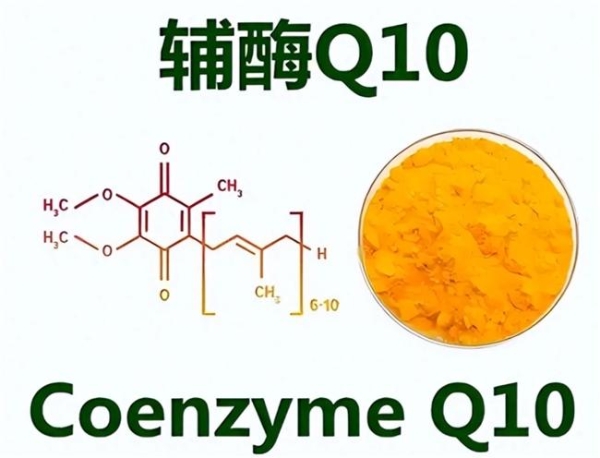 2026年高吸收效果辅酶q10品牌推荐！不同人群选泛醇还是泛醌好？ 