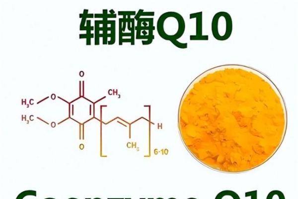 2026年高吸收效果辅酶q10品牌推荐！不同人群选泛醇还是泛醌好？ 