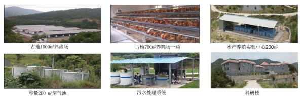 兴嘉生物：靠什么打造护城河，一文讲透隐形冠军的显性价值 