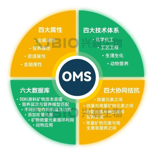 兴嘉生物：靠什么打造护城河，一文讲透隐形冠军的显性价值 