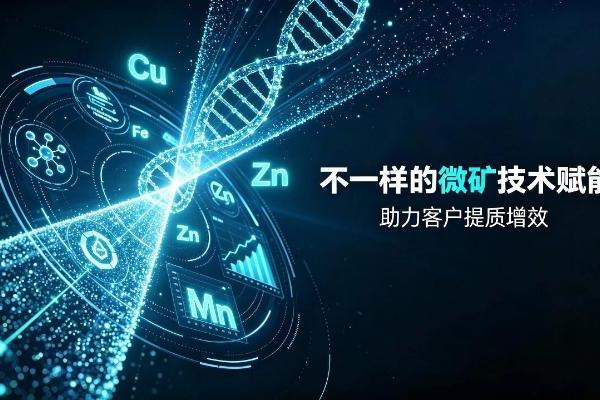兴嘉生物：靠什么打造护城河，一文讲透隐形冠军的显性价值 