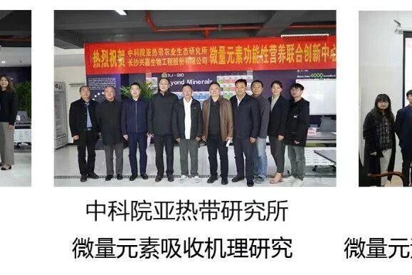 兴嘉生物：靠什么打造护城河，一文讲透隐形冠军的显性价值 