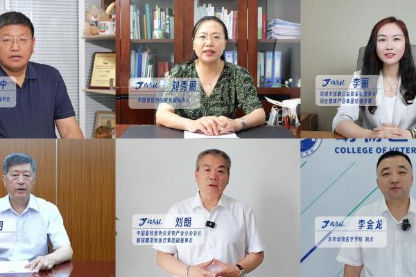 超百所院校代表队齐聚东农！第十一届"雄鹰杯"小动物医师技能大赛即将燃情启幕 