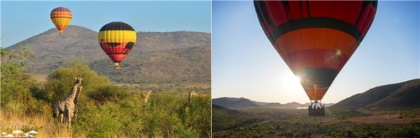 南非Safari不止一种精彩：从荒野到云端，从白昼到星夜