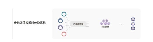 慢病毒包装怎么选试剂盒？稳转、瞬转两大技术路线深度对比，2026年最新 