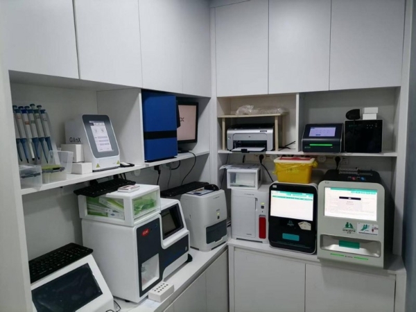 对话瑞派宠物医生：方寸之间，齿尖守护，健康尽享每一餐 