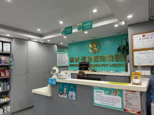 对话瑞派宠物医生：方寸之间，齿尖守护，健康尽享每一餐 