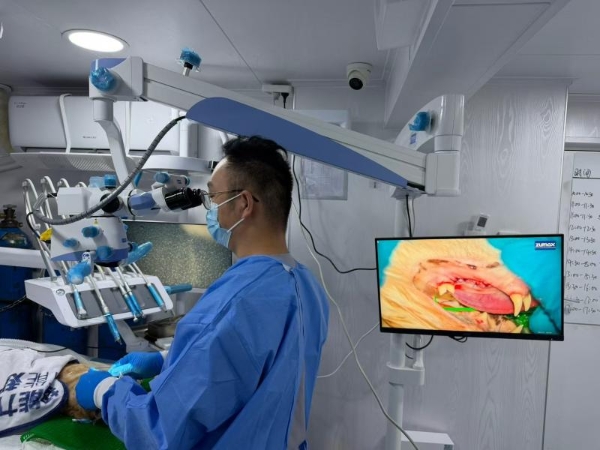 对话瑞派宠物医生：方寸之间，齿尖守护，健康尽享每一餐 
