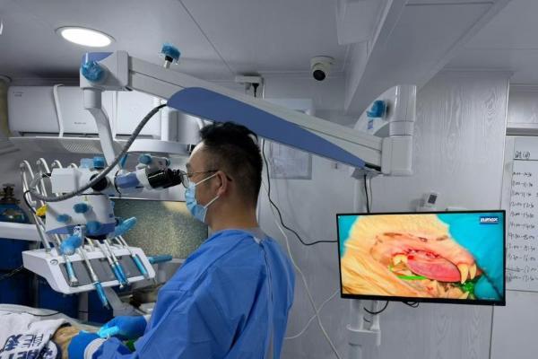 对话瑞派宠物医生：方寸之间，齿尖守护，健康尽享每一餐 