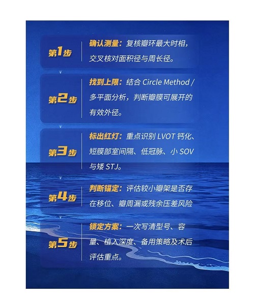 球扩瓣Borderline瓣环如何选型？两档之间，选小还是选大？ 