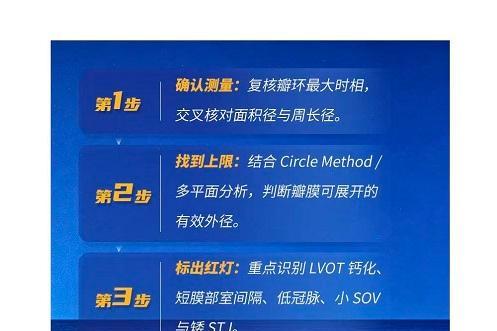 球扩瓣Borderline瓣环如何选型？两档之间，选小还是选大？ 