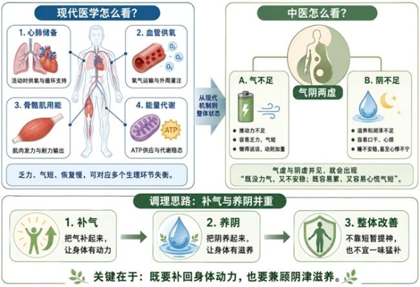 从Circulation到Nature Medicine：为什么乏力、气短、心慌常常一起出现？ 