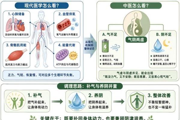 从Circulation到Nature Medicine：为什么乏力、气短、心慌常常一起出现？ 