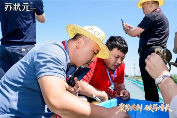 聚势共创 破局增长——苏状元2026城市合伙人盛典第二期在江苏盐城举行 