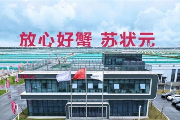 聚势共创 破局增长——苏状元2026城市合伙人盛典第二期在江苏盐城举行 