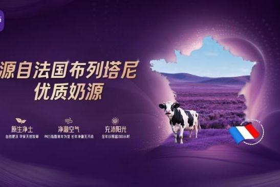 2026年8月新生儿奶粉参考清单：消化减负，强化自护营养 