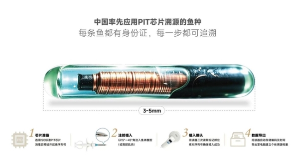 东弘耀兴与中国水产科学研究院黑龙江所达成合作，全球首创山女鳟PDRN应用，国家队种源战略落地 