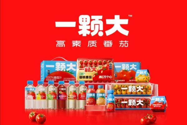 一颗大™出海北美再升级，100%NFC番茄汁上架美国多超市 