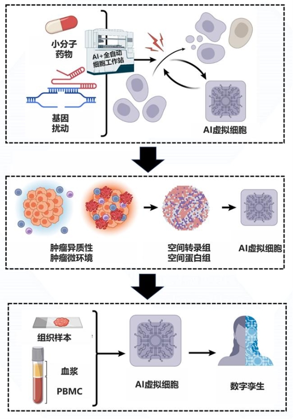 联川生物携手珞米科技：整合虚拟细胞多模态解决方案赋能药物开发 