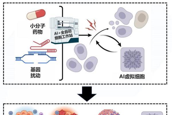 联川生物携手珞米科技：整合虚拟细胞多模态解决方案赋能药物开发 