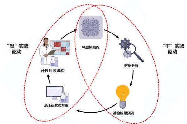 联川生物携手珞米科技：整合虚拟细胞多模态解决方案赋能药物开发 