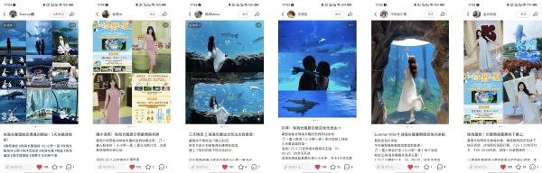 从春日山野奔赴盛夏撒欢，巨量引擎「小小野一夏」重塑暑期亲子营销新范本 