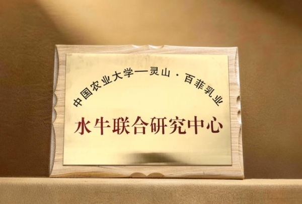 聚焦水牛奶差异化优势，百菲乳业以全链条协同走出稳健发展路径 