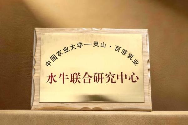聚焦水牛奶差异化优势，百菲乳业以全链条协同走出稳健发展路径 