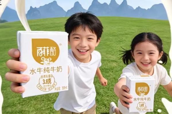聚焦水牛奶差异化优势，百菲乳业以全链条协同走出稳健发展路径 