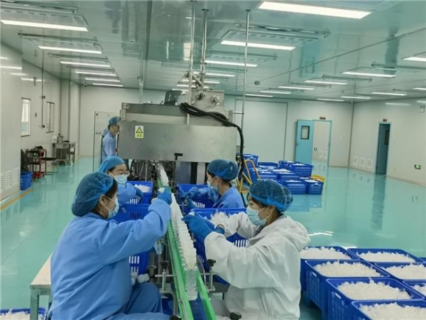 守护秦岭“蜂中瑰宝”：众天蜂业三十年的生态共生之道 