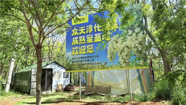 瓶装蜂蜜水赛道爆发：众天蜜泉如何用“蜜水分离”突围 