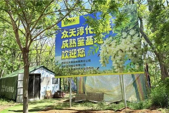 瓶装蜂蜜水赛道爆发：众天蜜泉如何用“蜜水分离”突围 