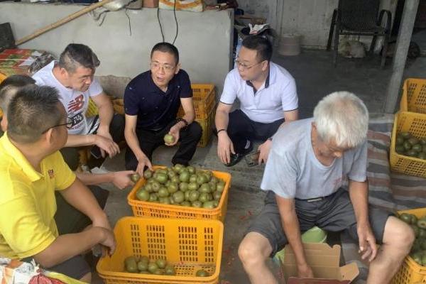 田间传递温情 成都汇阳投资赴都江堰助力果农猕猴桃产销 
