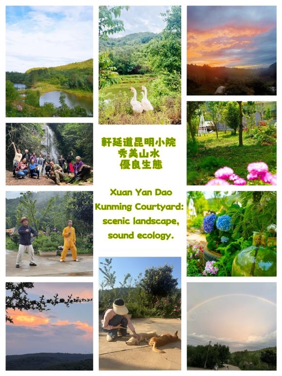 东西方智慧融合：个体化康养的新范式 