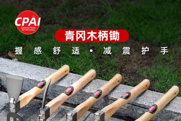 国内园艺工具推荐：2026新手必入高性价比园艺好物 