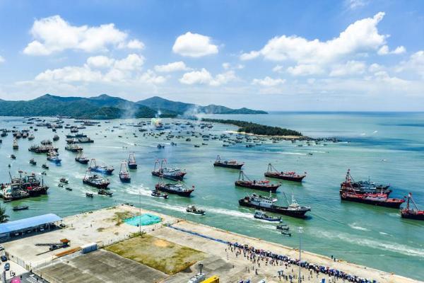 开海第一捕上新！顺丰全链条物流护航渔鲜直达千家万户 