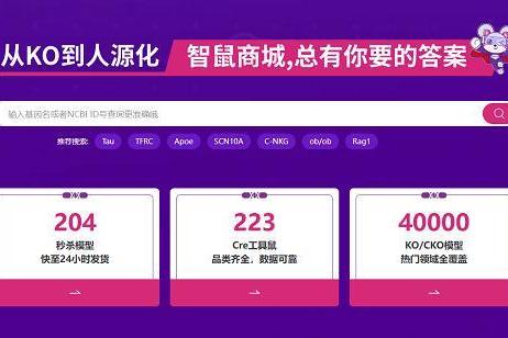 一只实验小鼠背后的科研革新：赛业生物智鼠商城，超4万模型打通生物医药研发快车道 
