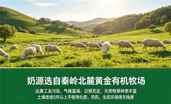 怕上火便秘，羊奶粉哪个牌子喝了不便秘也不上火？2026调理款盘点 