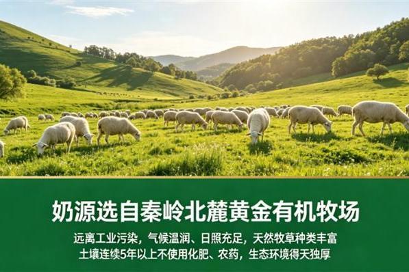 怕上火便秘，羊奶粉哪个牌子喝了不便秘也不上火？2026调理款盘点 