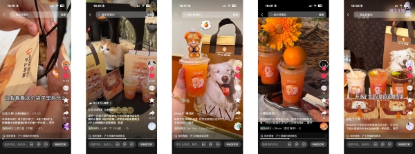 沪上阿姨×「美味上新了」，用azan的温暖故事打开秋一杯的宠爱 