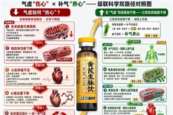 气虚久了为什么会“耗损心气”？ 